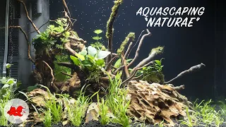 Aquascaping "Naturae"