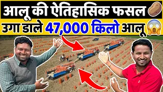 ये खेती नहीं शेयर मार्केट है, पानी की तरह मिलेगा पैसा💰🤑💯Profitable Potato Farming | Indian Farmer