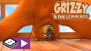 Grizzy en de Lemmings | Gedownloade kennis | Cartoonito