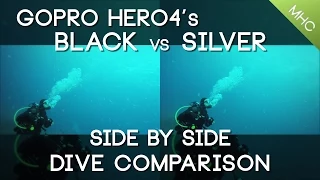 GoPro Hero4 Diving Comparison Black vs Silver (Daytime)