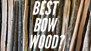 The Best Bow Woods: A Bowyer's Review