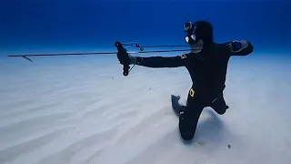 Underwater Archery Spearfishing in The Bahamas (Airplane Found)