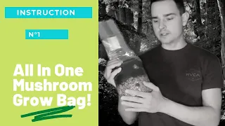 All In One Mushroom Grow Bag [Instructional Video]