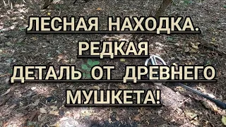 ИЩУ НОВЫЕ МЕСТА ДЛЯ КОПА В ЛЕСУ.НАХОДКИ КАК ВСЕГДА РАДУЮТ!