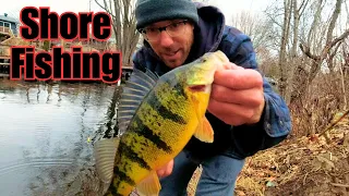 Shore Fishing Spring Jumbo Perch