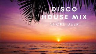 Disco House Mix 2023 VII