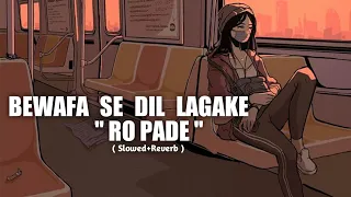 Bewafa Se Dil Lagake Ro Parde - Slowed Reverb