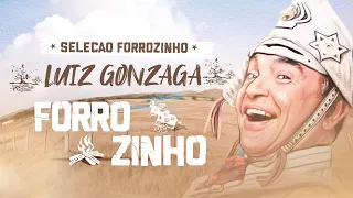 SELEÇÃO FORROZINHO LUIZ GONZAGA PISEIRO PRA PAREDÃO E SUCESSOS - RD7CDs