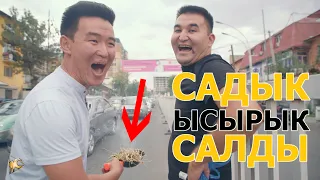 САДЫК кочодо ЫСЫРЫК салып журду I 2 выпуск  2 сезон ЭРКЕКЧЕ ДОЛБООР