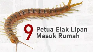 9 PETUA CEGAH LIPAN MASUK RUMAH