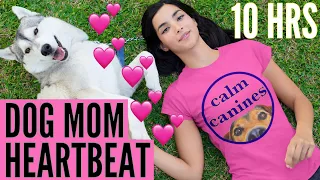 Dog Mom Heartbeat Sounds 10 Hours with NO ADS, NO MUSIC, and DARK SCREEN 🐶💤🎵