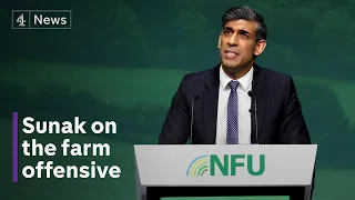 Sunak pledges help to farming industry ‘in crisis’