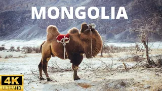 Mongolia Nature 4K Movie Video Ultra HD | 4K Mongolia Scenic Relaxation for Sleep | Quality Video