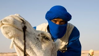 Чем заняться в Тунисе - экскурсии, пляжный отдых, талассотерапия. Туры в Тунис