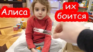 VLOG Настя разбила айфон. У нас новые питомцы