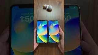 iphone 11 vs 13