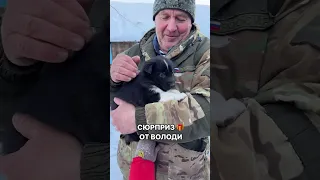 Сюрприз от Володи