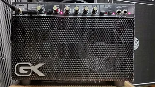 Gallien Krueger 250ML - Moonchild