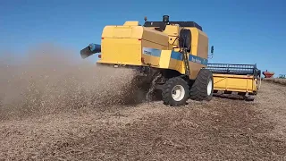 Agronor Uruguay trilla soja 2020 la rural