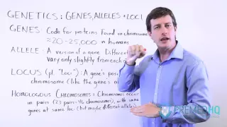 Genes, Alleles, and Loci