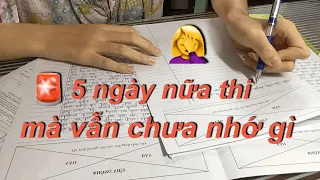 Chạy nước rút môn Văn trong 5 ngày trước khi thi TS10 | Văn vào 10 | Gia Nghi Vănner