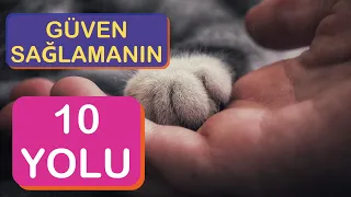 KEDİM BENDEN KAÇIYOR - Güvenini Kazanabilmenin 10 Yolu