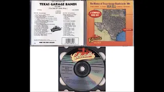 The History Of Texas Garage Bands In The '60s Volume 1 CD2