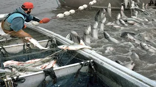 Everyone should watch this Fishermen's video - Most Satisfying Net Fishing Line Catching Big Fish