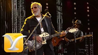 Yusuf Cat Stevens, You Are My Sunshine, Festival de Viña 2015 HD 1080p