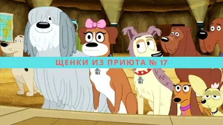 Щенки из приюта № 17 (1 сезон, 3 я серия )