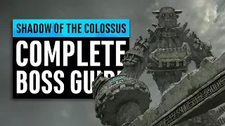 Shadow of the Colossus | Complete Boss Guide (Normal/Hard/Time Attack)