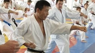 Compression-Expansion and Jiyu Ippon Kumite by Mikio Yahara. Seminar in Moscow 2009 (part 3)