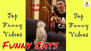 Funny Cats Compilation 2017 [Special Version with Funny Captions] P18 - 😂😸 Funny Cats 2017 by TFVs