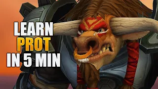 You WILL Learn Prot Warrior Super Fast! Dragonflight Guide Patch 10.0.5