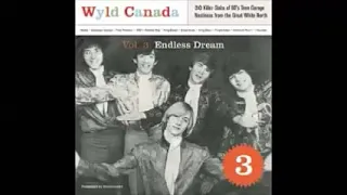 VA - Wyld Canada Vol 3 - Endless Dream : KILLER Slabs Of 60's Teen Garage Punk Nastiness Music ALBUM