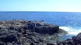 Fuerteventura. Paseo Maritimo de Caleta de Fuste (II)