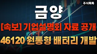 [금양 주가전망] [속보] 기업설명회 자료 공개! 46120 원통형 배터리 개발! 상승할 수 밖에 없습니다!!