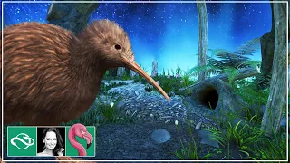 Building a Kiwi Nocturnal House in Planet Zoo Tropical Franchise Mode