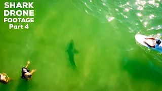 Amazing Shark Drone Footage | Sharks Hunting In The Shallows | Sharks Stalk Surfers At NSB Inlet
