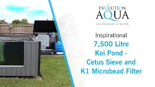 7,500 Litre Fibreglass pond - Evolution Aqua Cetus Sieve and K1 Microbead Filter!