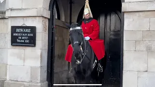 Horse’s Sneeze Shows How Cold It Is Today 🥶