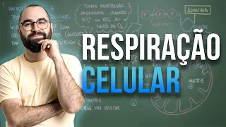 Mitocôndria e Respiração Celular - Aula 26 - Módulo 1 - Biologia Celular | Prof. Guilherme