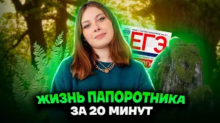 Жизненные циклы споровых в ЕГЭ