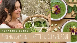Early Spring Foraging | Nettle & Cleavers Soup + Preserving Spring Greens