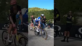 Mid-race BBQ for Alaphilippe 😂 #cycling #shorts
