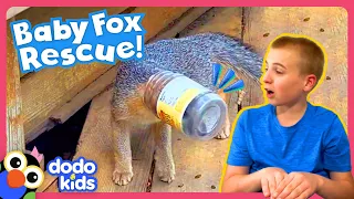 Fox’s Head Is Stuck In A Peanut Butter Jar! Someone Help! | Dodo Kids | Rescued!