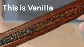 how to MAKE YOUR OWN VANILLA