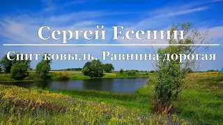 Сергей Есенин - Спит ковыль. Равнина дорогая