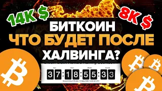 Биткоин Халвинг 2020 Прогноз! Будет ли памп BTC? 8к, 14к, 20к $ ? (chico crypto)