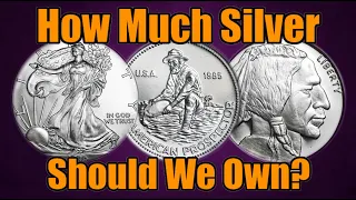 How Much Silver Should We Own: The Pros & Cons of Silver Stacking #silver